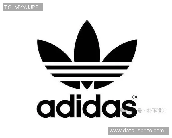 全球知名体育品牌排行榜揭晓各大品牌标志及其市场影响力分析