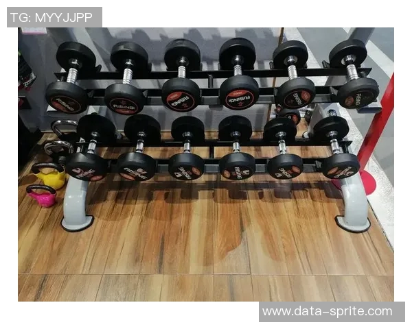 哑铃选择指南水泥与铁的优缺点分析助你找到最适合的健身器材